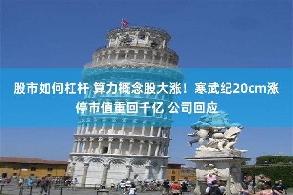 股市如何杠杆 算力概念股大涨！寒武纪20cm涨停市值重回千亿 公司回应