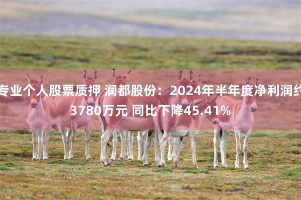 专业个人股票质押 润都股份：2024年半年度净利润约3780万元 同比下降45.41%