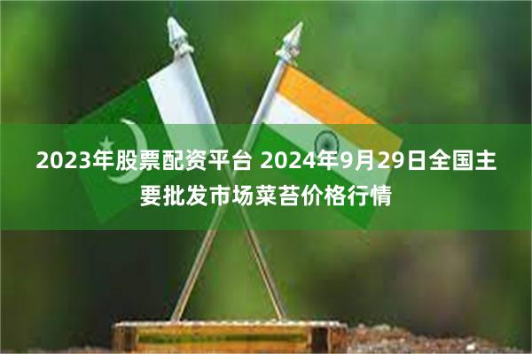 2023年股票配资平台 2024年9月29日全国主要批发市场菜苔价格行情