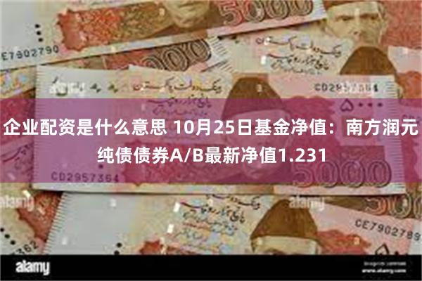 企业配资是什么意思 10月25日基金净值：南方润元纯债债券A/B最新净值1.231