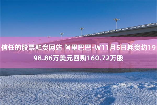 信任的股票融资网站 阿里巴巴-W11月5日耗资约1998.86万美元回购160.72万股