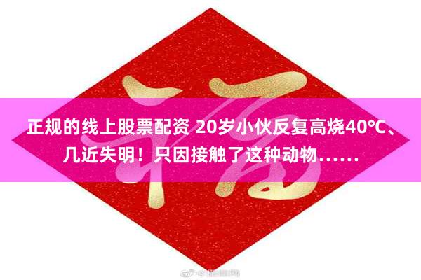 正规的线上股票配资 20岁小伙反复高烧40℃、几近失明！只因接触了这种动物……