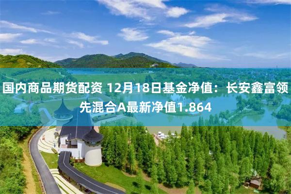 国内商品期货配资 12月18日基金净值：长安鑫富领先混合A最新净值1.864