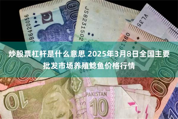 炒股票杠杆是什么意思 2025年3月8日全国主要批发市场养殖鲶鱼价格行情